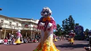 ハロウィンの時期は格別♪