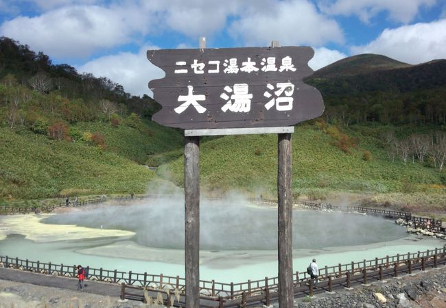 湯本温泉野営場