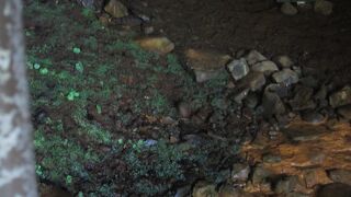 落石注意の柵の向こう側