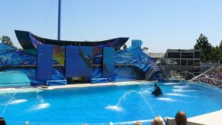 １日全部使うエンターテイメントスポット