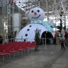 私の行った日は雪に関するイベントをしていました