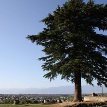 聖堂の庭からみたクタイシの街並み