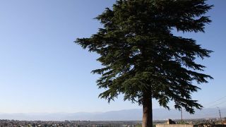 改修中だったものの眺めは素晴らしい