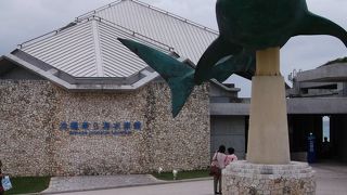 海の雄大さを体感・・・