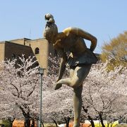 お花見の季節でなくてもおすすめ