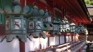 とにかく広い敷地