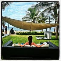 プール横の芝生のベッドソファーは大人気です。