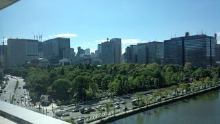 上から見るとちょっとした森のようです