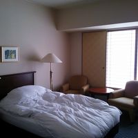 伝わりにくいと思いますが、かなり広いお部屋でした。