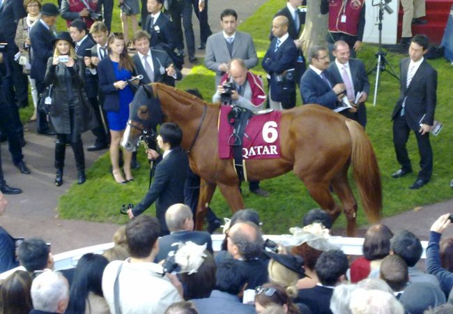 ロンシャン競馬場