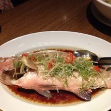 500g強の魚。すごいお値段になりました…。