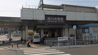 市川大野駅はレッサーパンダのいる市川市動植物園行きのバスと連絡します