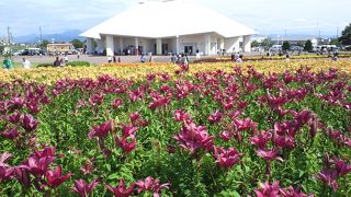 まあ良かったです