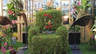 見応えあります。