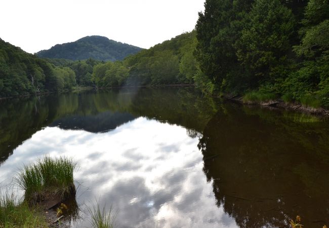 志賀高原の自然を学習しながら満喫できる散策路。