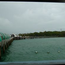 雨のグリーン島