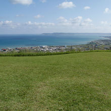 この草むらに寝転がってみて！