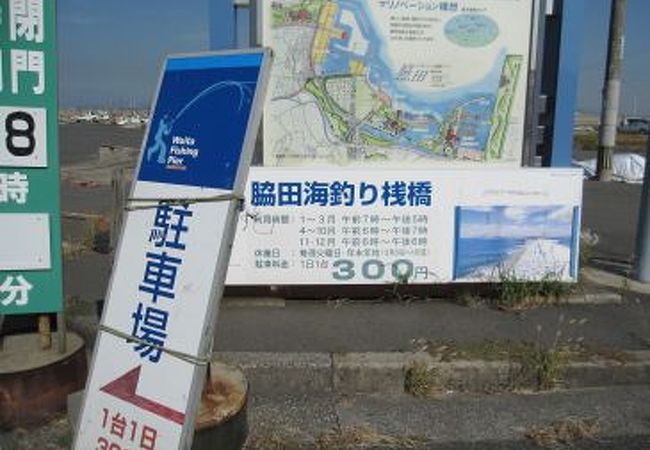 海遊びの地区として開拓中