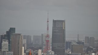 スカイツリーも見えます