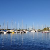 目の前はヨットハーバーです