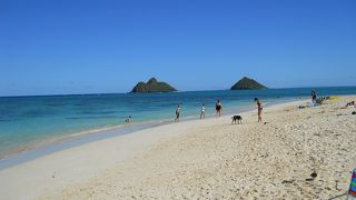 すばらしいの一言