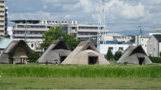 広々したところ