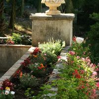 可愛らしいお花が沢山咲いている庭です