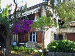 ビー ハウス 写真