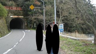 桜の名所ですが