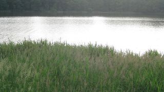 呼人半島遊歩道。気軽に楽しめるネイチャーウォーク