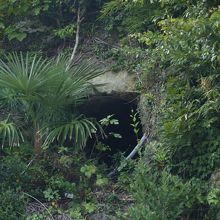 神光寺横穴古墳（第3横穴墓）