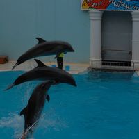 神戸市立須磨海浜水族園