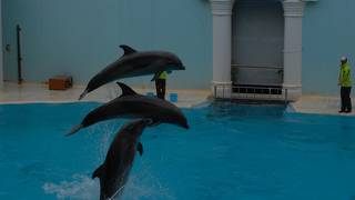 神戸市立須磨海浜水族園