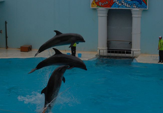 神戸市立須磨海浜水族園