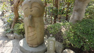 アジサイの時期じゃないなら･･･