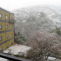 泊まった翌朝、雪が降っていました。４階の窓から。