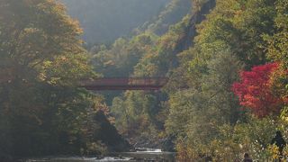 カッパバスについて