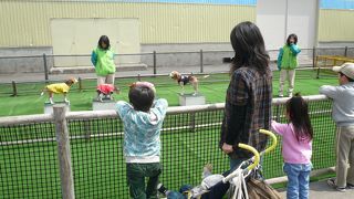 子供たちはおおはしゃぎ＾＾