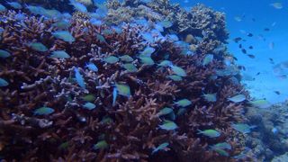 透明度高いです♪