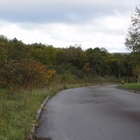 左手に散策路が