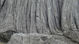 シュール。。。