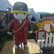 亀岡のゆるキャラ「明智かめまる君」