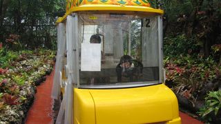 パイナップルパーク