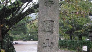 京都のお花見スポット