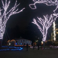 光のページェント開催時は、西公園もライトで彩られます。