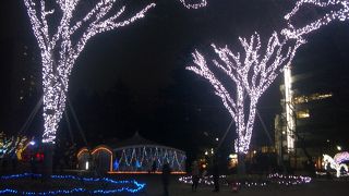 散歩に最適な公園です。