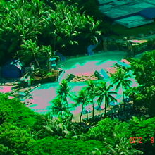 アミューズメントパークです。まさに。