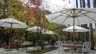 とっても素敵な自然いっぱいのカフェです