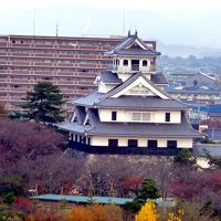 部屋から見た長浜城
