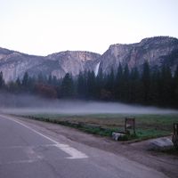 早朝のヨセミテ、テントの近く